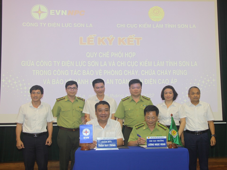 Tin truyền hình: Tăng cường công tác bảo vệ, PCCCR và bảo vệ an toàn hành lang lưới điện